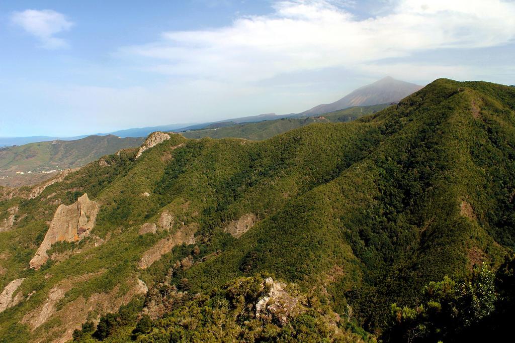 Casa La Ranita Bed & Breakfast ลอส ซิลอส ภายนอก รูปภาพ