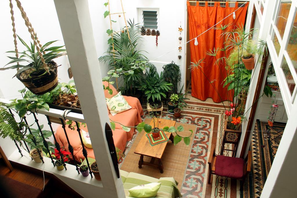 Casa La Ranita Bed & Breakfast ลอส ซิลอส ภายนอก รูปภาพ