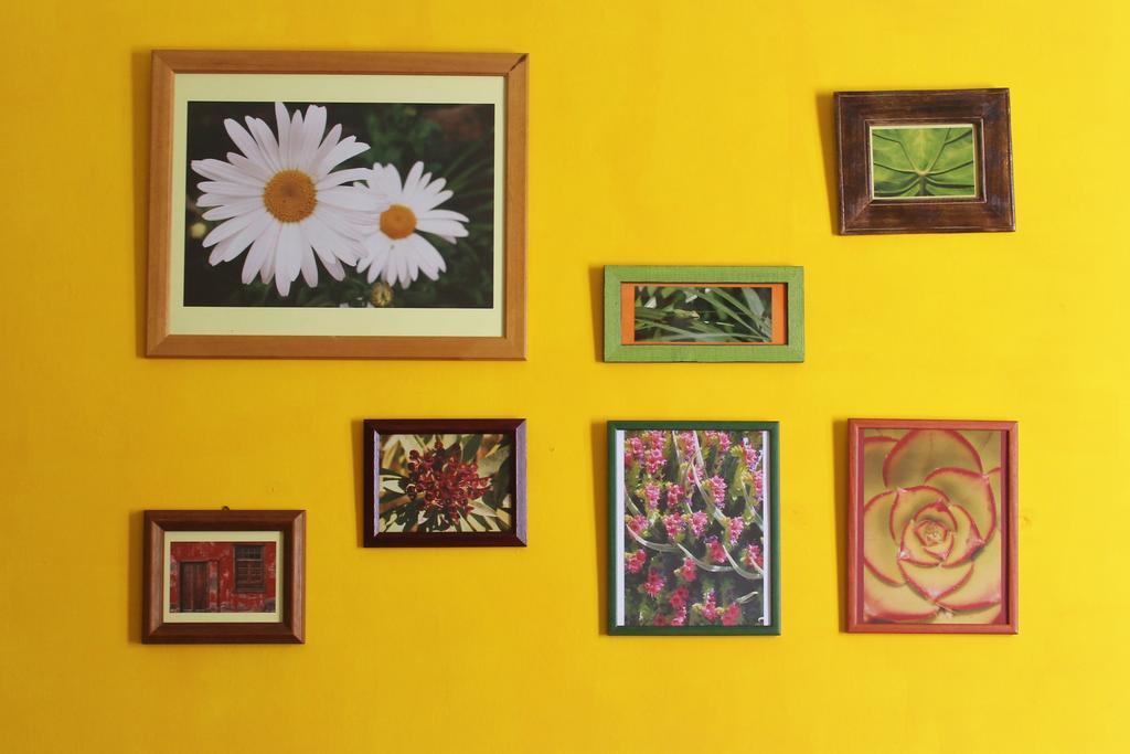 Casa La Ranita Bed & Breakfast ลอส ซิลอส ภายนอก รูปภาพ